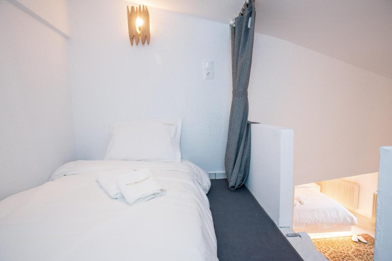 Blue Mountain Guesthouse by Seablue Arachova Extérieur photo